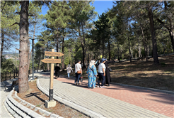 Büyükşehir’le Sakarya’da yaz bir başka güzel geçti