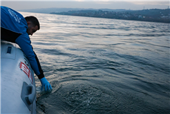 SASKİ Sapanca Gölü’ndeki o noktada incelemenin sonucunu paylaştı: “Yapılan incelemede olumsuz bir duruma rastlanmadı” 