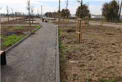  “Söğütlü Ritim Park’ta çalışmalar yüzde 80 seviyelerine ulaştı”