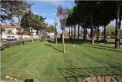  “Söğütlü Ritim Park’ta çalışmalar yüzde 80 seviyelerine ulaştı”