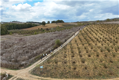 Sakarya’da doğa tutkunlarının beklediği takvim geldi: Baharı muhteşem manzarayla karşılayacaklar…