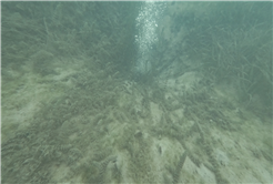 SASKİ Sapanca Gölü’ndeki o noktada incelemenin sonucunu paylaştı: “Yapılan incelemede olumsuz bir duruma rastlanmadı” 