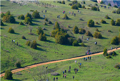 Doğaseverlerin bu haftaki rotası Karagöl ve Sultanpınarı Yaylası oldu