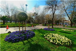 Sakarya’da baharın büyüleyici cümbüşü