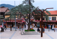 Tabiat içinde büyüleyici yolculuk Karagöl ve Acelle’de sürdü