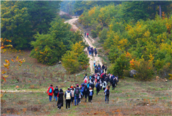 Sakarya’da doğa tutkunlarının beklediği takvim geldi: Baharı muhteşem manzarayla karşılayacaklar…