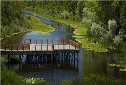 Yusuf Alemdar Kültür Yolu Festivali’nin Sakarya takvimini paylaştı
