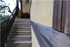 Evi görünce terk etmeyi düşündü: Binlerce kokarcanın istila kabusunu TUTSAK bitirdi