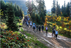 Sakarya’da doğa tutkunlarının beklediği takvim geldi: Baharı muhteşem manzarayla karşılayacaklar…