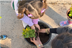 Toprağa dokunan minik eller Sakarya’da umudu ekti