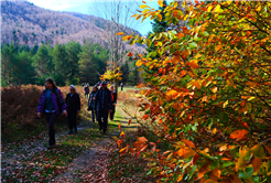 Sonbaharın büyüleyici renkleri arasında 14 kilometrelik unutulmaz rota