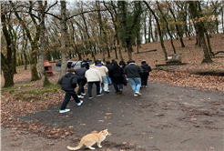 Sonbaharın büyüleyici tonları arasında Sapanca, Poyrazlar ve Karadeniz keşfi