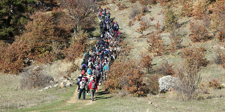 Doğanın güzellikleri arasında yürüdüler